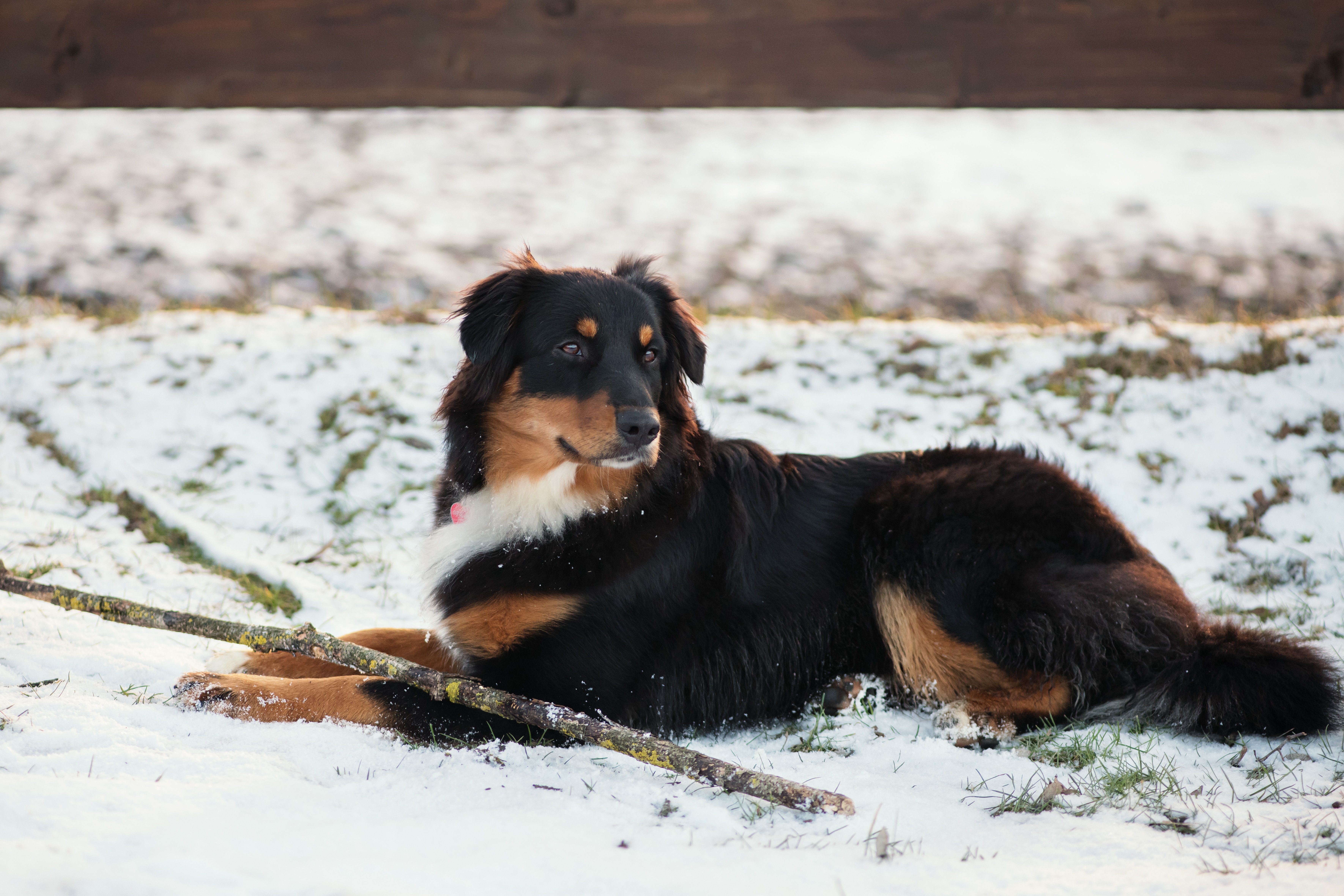 daniela-kalwarowskyj-fgigsckf7z4-unsplash