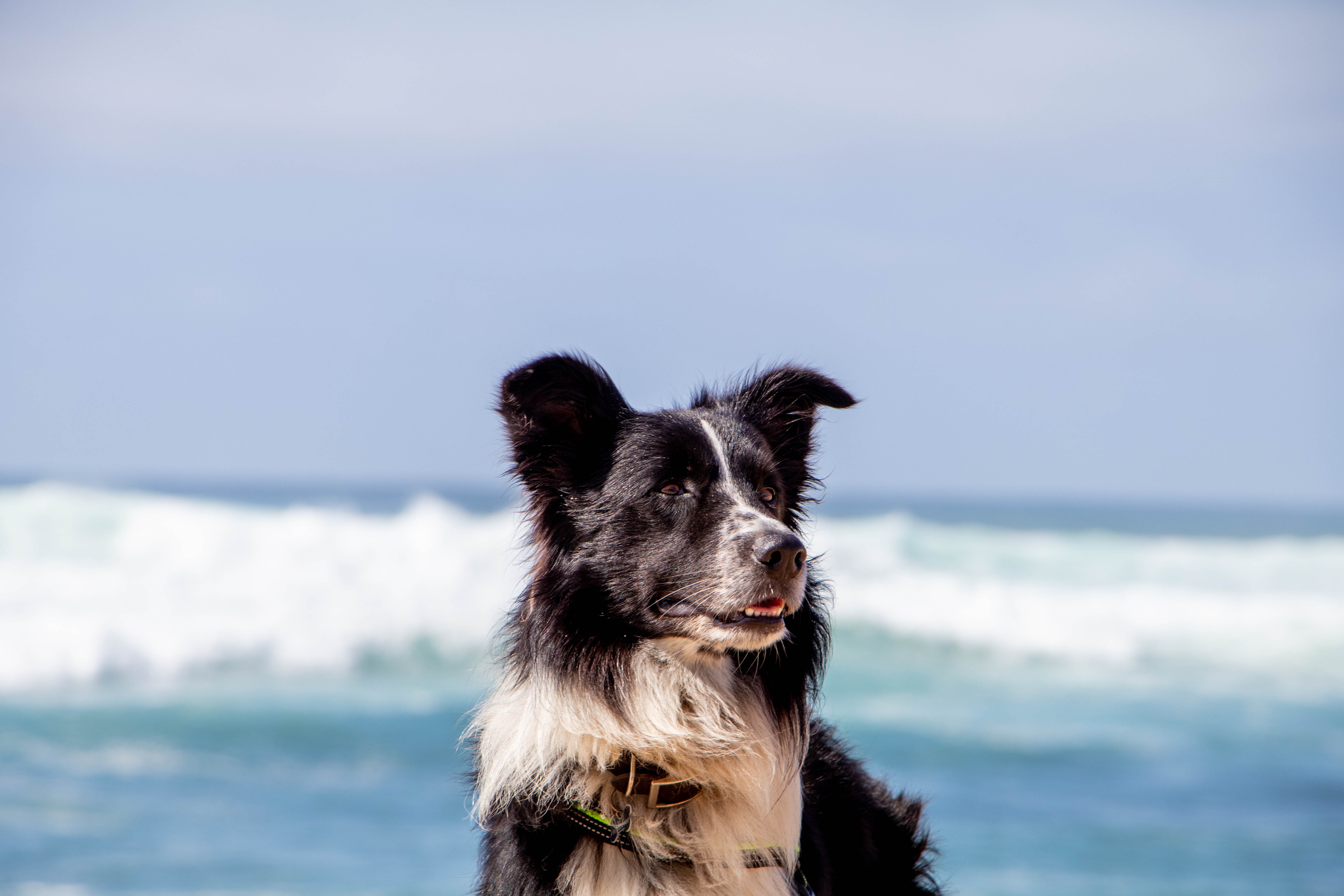 marieke-koenders-7xuvdkmw3dy-unsplash