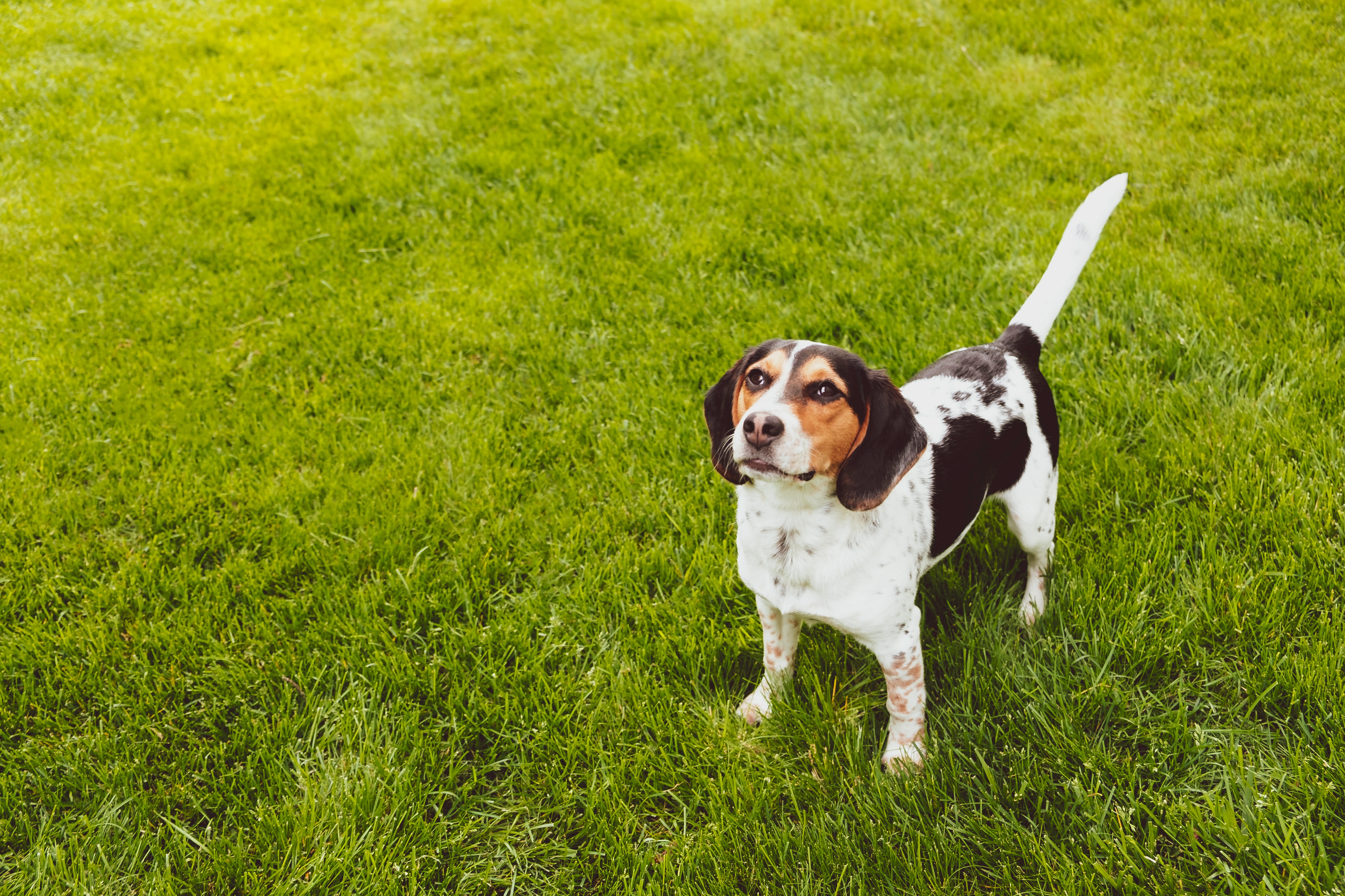 max-itin-pe5qb1jbpdu-unsplash