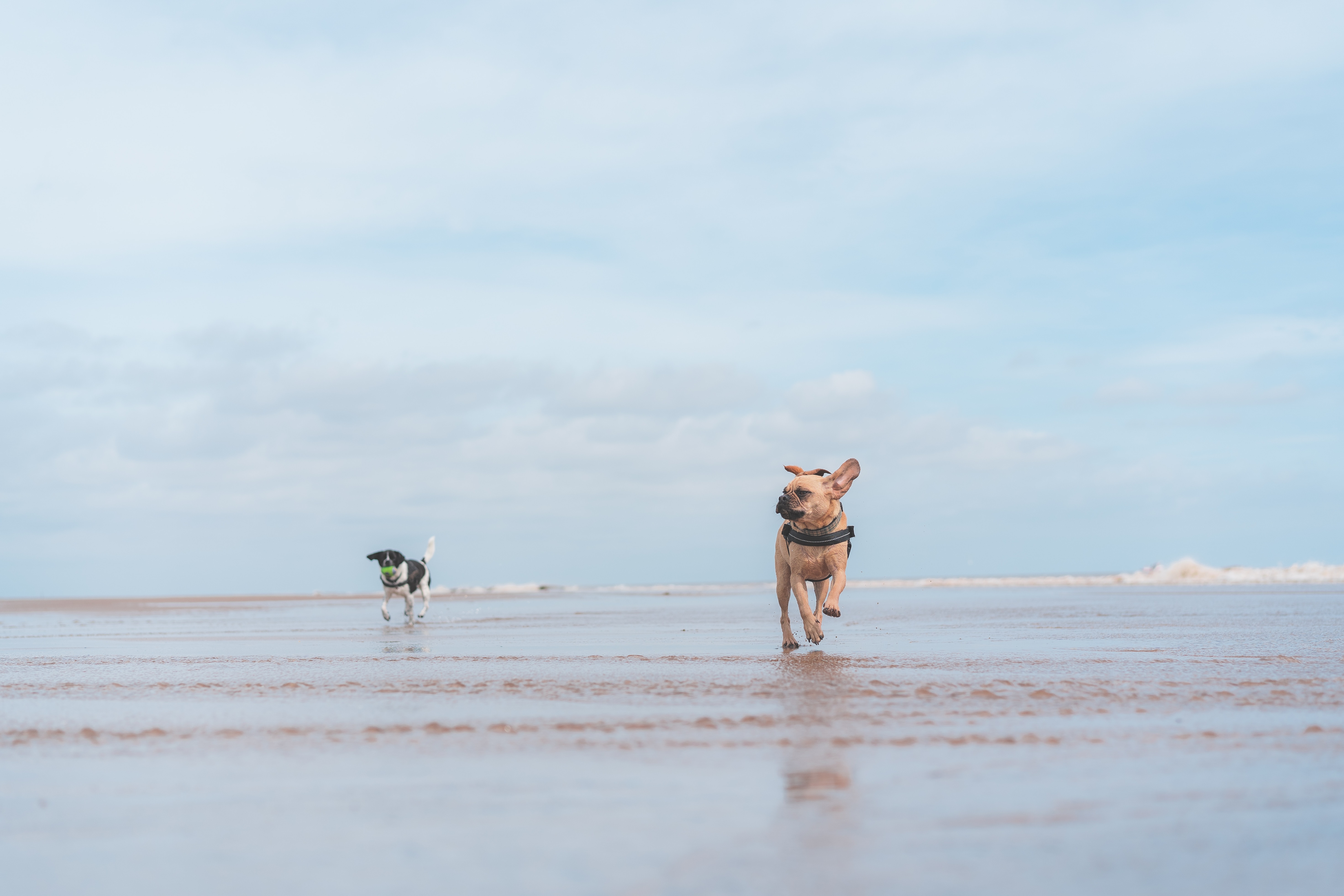 tom-hills-dtriw9lrzhc-unsplash